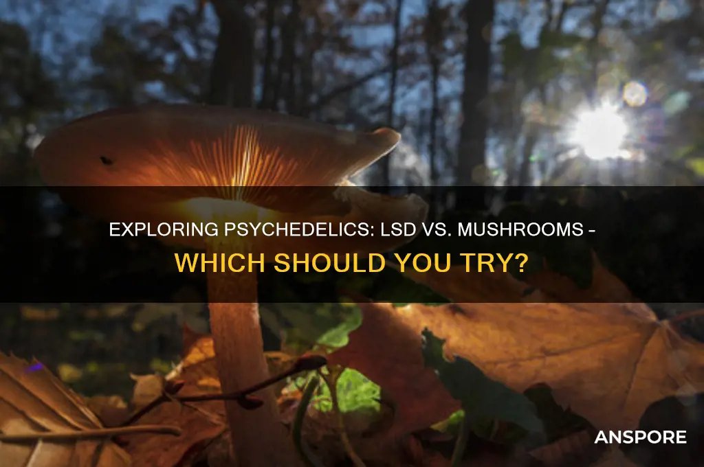 should i try lsd or mushrooms