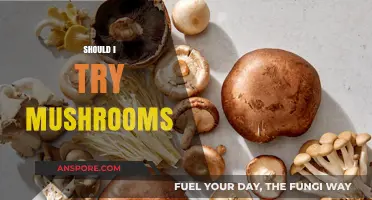 Exploring the Benefits of Magic Mushrooms
