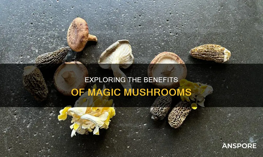 should i try mushrooms