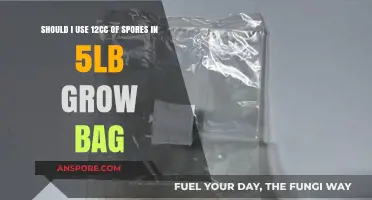 Optimal Spore Dosage: 12cc in 5lb Grow Bags Explained