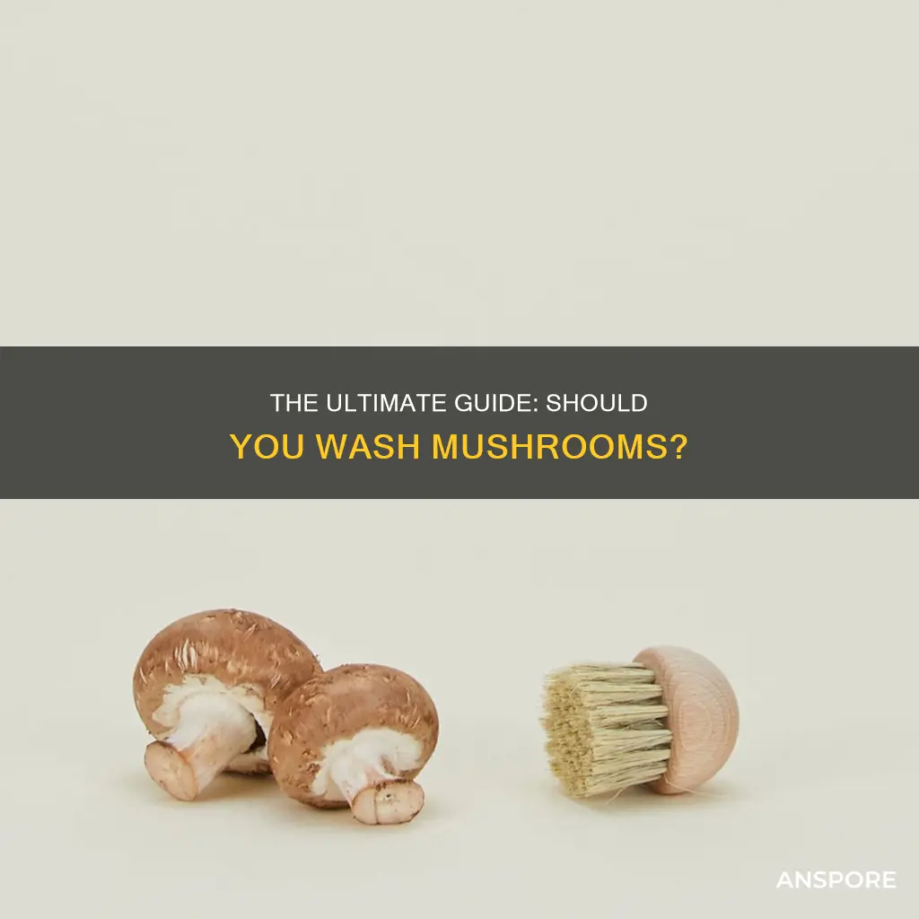 should i was mushrooms