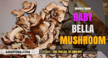 Should You Wash Baby Bella Mushrooms? A Complete Cleaning Guide