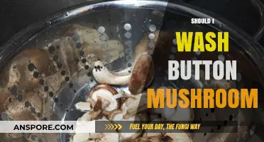Washing Button Mushrooms: To Rinse or Not?
