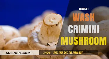 Washing Crimini Mushrooms: To Rinse or Not to Rinse?
