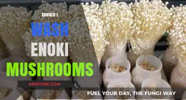 Washing Enoki Mushrooms: To Wash or Not to Wash?