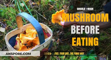 Should You Wash Mushrooms Before Eating? A Culinary Debate