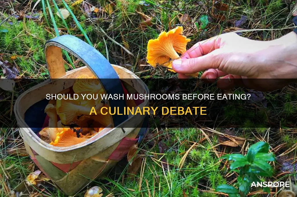 should i wash mushrooms before eating