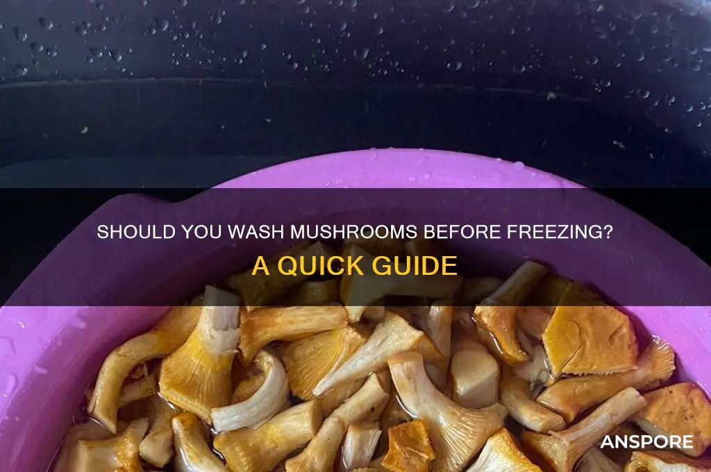 should i wash mushrooms before freezing