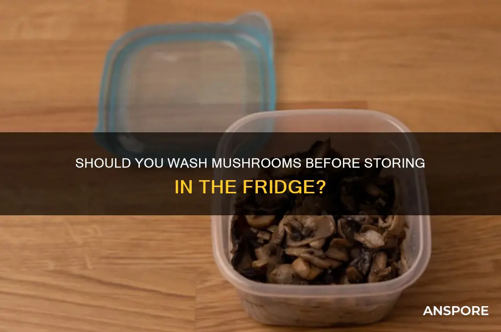should i wash mushrooms before storing in fridge