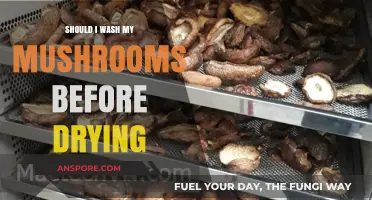 Should You Wash Mushrooms Before Drying? A Complete Guide