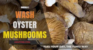 Washing Oyster Mushrooms: To Wash or Not?