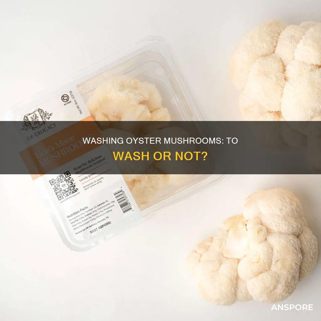 should i wash oyster mushrooms