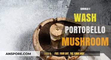 Should You Wash Portobello Mushrooms? Tips for Cleaning and Prep