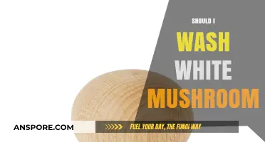 Washing Mushrooms: To Rinse or Not to Rinse?