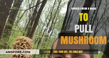 Masks and Mushrooms: Should You Wear One While Foraging?