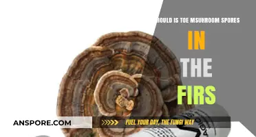 Should You Grow Mushroom Spores in Your First Indoor Garden?