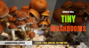 Tiny Mushrooms: A Profitable Business Venture?