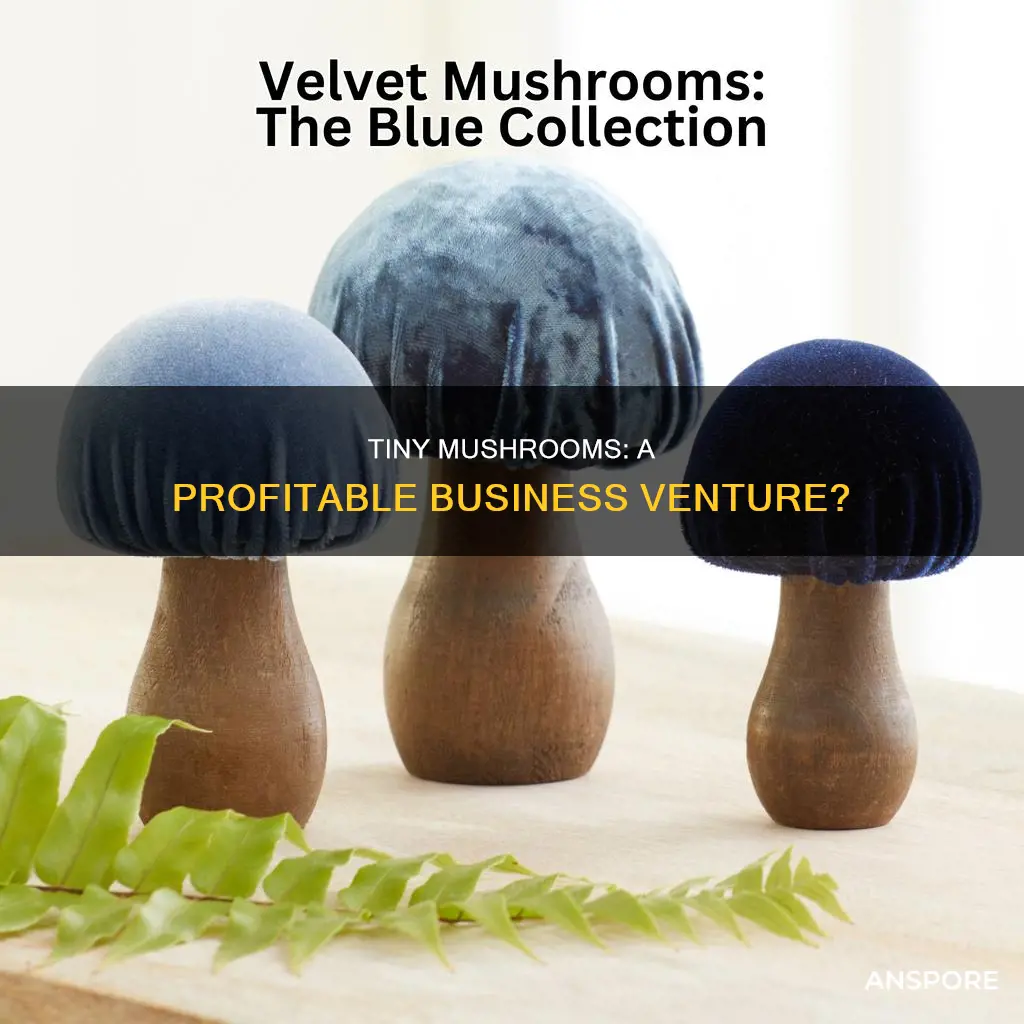 should isell tiny mushrooms