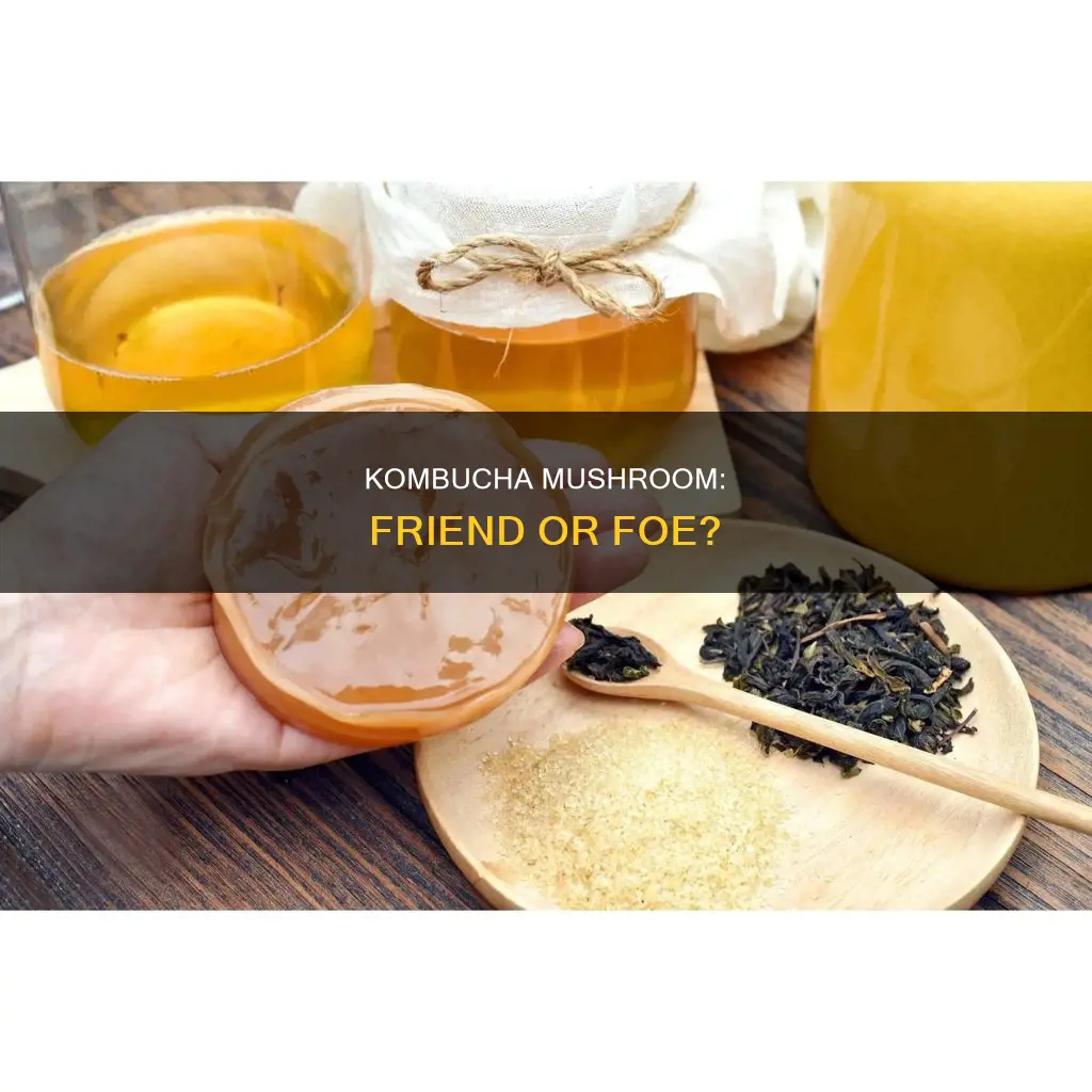 should kombucha mushroom