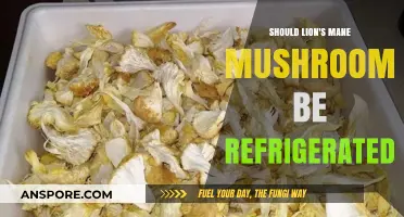 Should Lion's Mane Mushrooms Be Refrigerated? Storage Tips Revealed