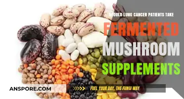 Fermented Mushroom Supplements: A Lung Cancer Patient's Potential Ally?