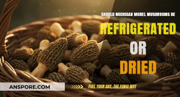 Refrigerate or Dry Michigan Morels: Best Preservation Methods Revealed