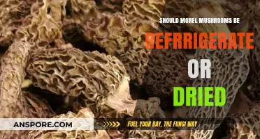 Refrigerate or Dry Morel Mushrooms: Optimal Storage Methods Explained