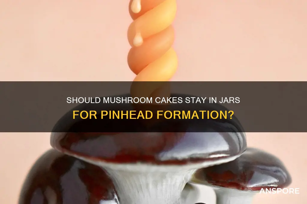 should mushroom cakes be left in jar to form pinheads