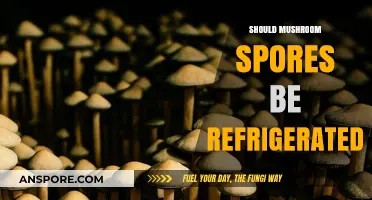 Should Mushroom Spores Be Refrigerated? Storage Tips for Optimal Viability