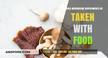 Should You Take Mushroom Supplements with Food? Expert Insights