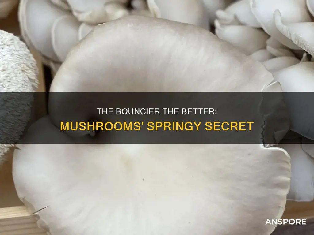 should mushrooms be bouncy