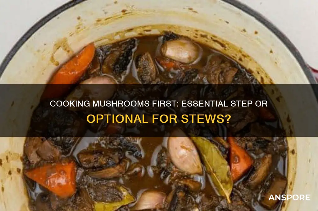 should mushrooms be cooked before adding to stew