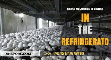 Should Mushrooms Be Covered in the Fridge? Storage Tips Revealed