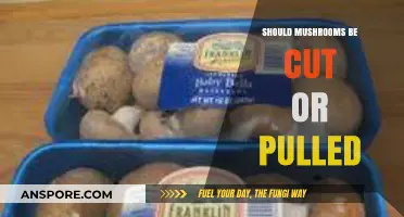 Cut or Pull Mushrooms: Which Harvesting Method Yields Better Results?