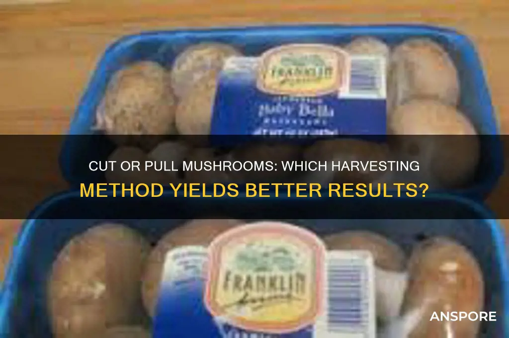should mushrooms be cut or pulled