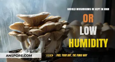 Optimal Mushroom Storage: High vs. Low Humidity Explained