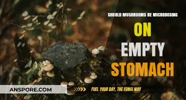 Microdosing Mushrooms on an Empty Stomach: Benefits, Risks, and Best Practices