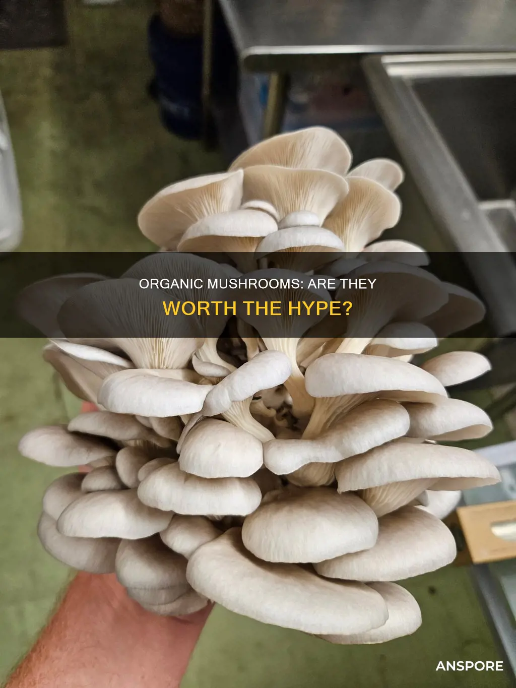 should mushrooms be organic