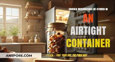 Airtight Storage for Mushrooms: Best Practices to Keep Them Fresh