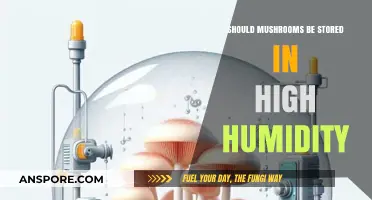 High Humidity Storage: Ideal for Mushrooms or Risky Practice?