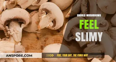 Mushrooms: Slimy or Not?