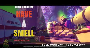 The Aroma of Mushrooms: Do They Smell?