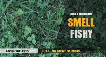Mushrooms: Fishy Smell, What's the Deal?