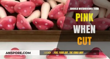 Do Mushrooms Turn Pink When Cut? Unveiling the Truth Behind the Myth