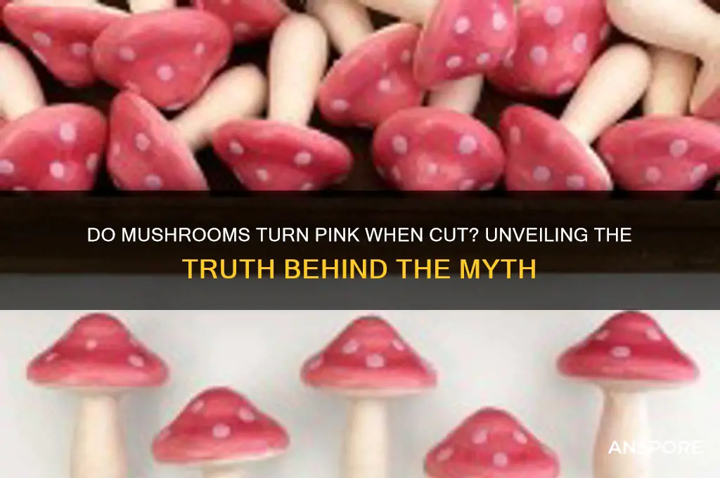 should mushrooms turn pink when cut