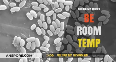 Should Spores Be Stored at Room Temperature? A Comprehensive Guide