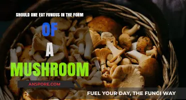 Mushrooms: Nutritional Powerhouses or Risky Fungus? A Dietary Dilemma