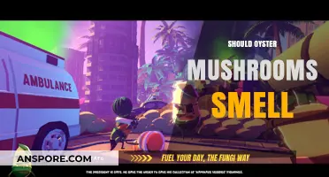 The Odor of Oyster Mushrooms: What's Normal?