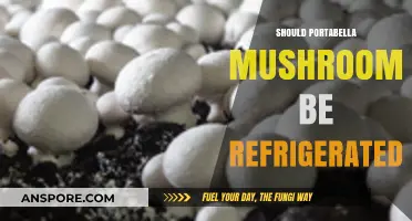 Portabella Mushroom Storage: Fridge or No Fridge?