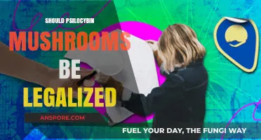 Legalizing Psilocybin Mushrooms: Potential Benefits, Risks, and Societal Implications